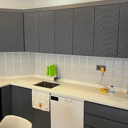 Fischer In Apartment Avsallar